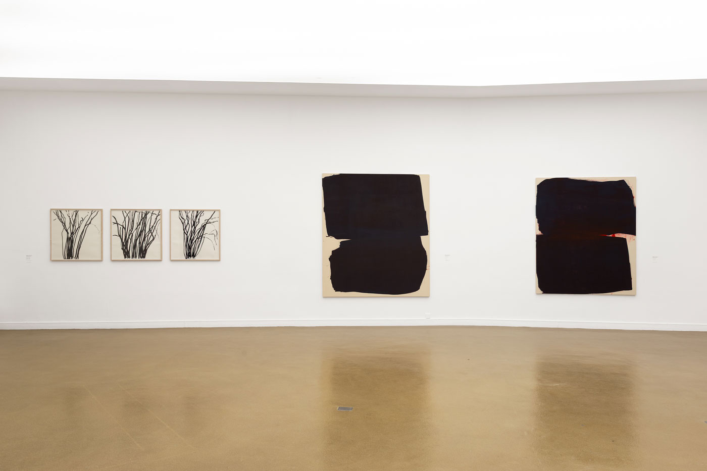 Stéphane Bordarier - Musée d'Art Moderne de Paris | photo de Jean Vayssié