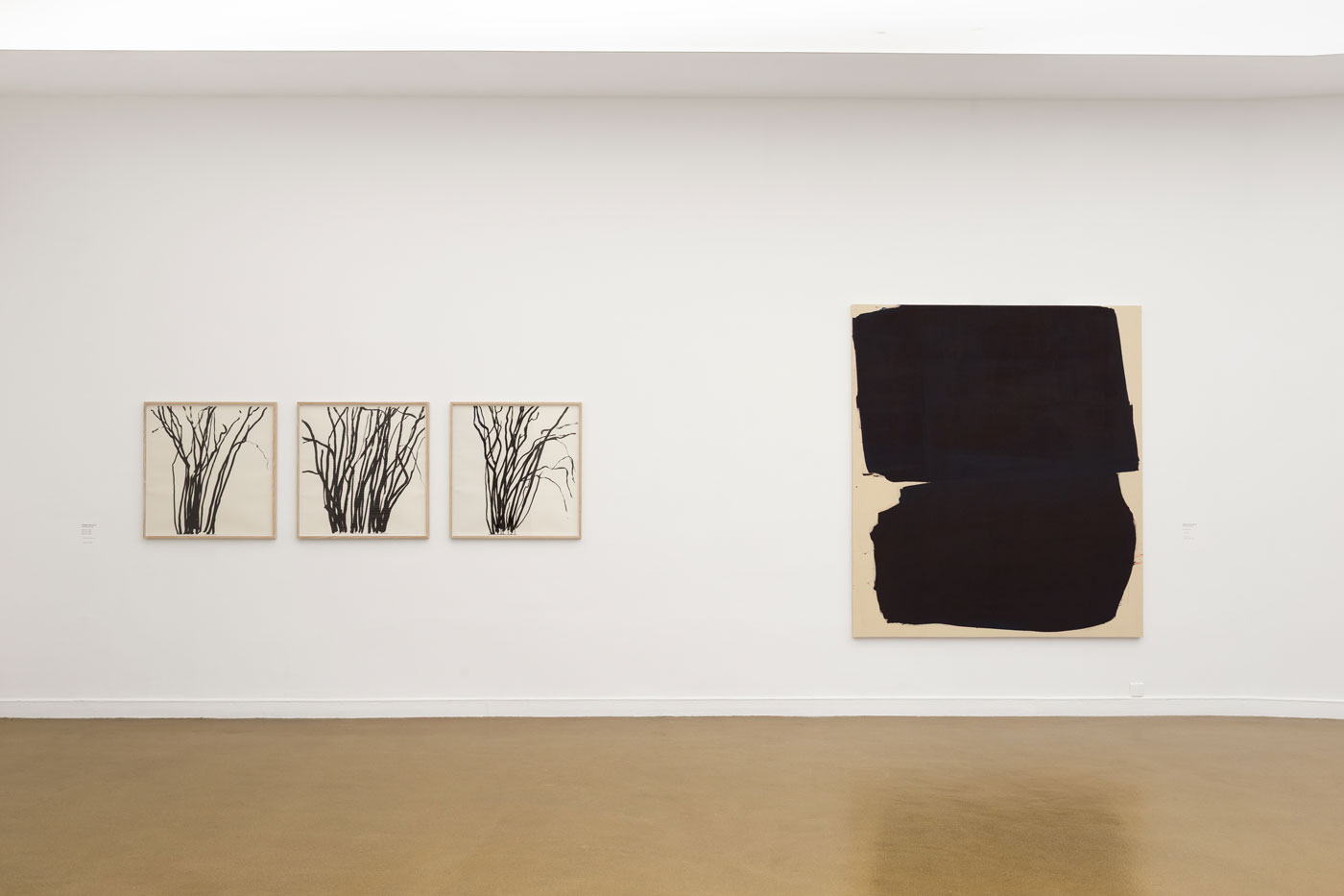 Stéphane Bordarier - Musée d'Art Moderne de Paris | photo de Jean Vayssié
