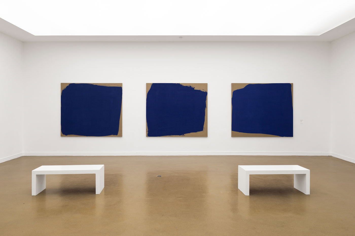 Stéphane Bordarier - Musée d'Art Moderne de Paris | photo de Jean Vayssié